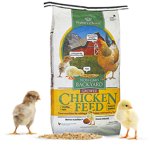 Bag of Non-GMO Backyard Grower Chicken Feed