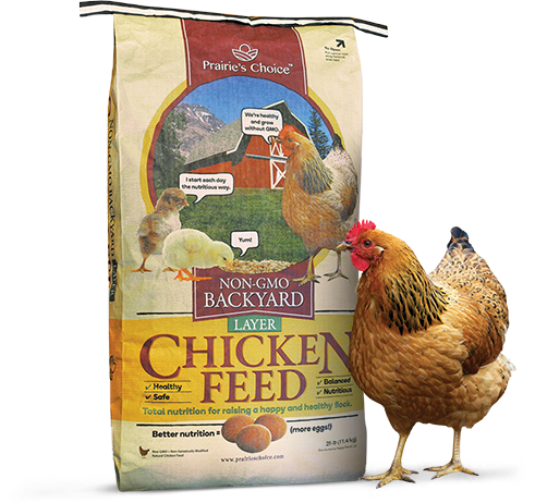 Bag of Non-GMO Backyard Layer Chicken Feed