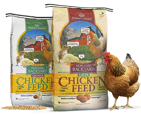 Bags of Non-GMO Chicken Feed