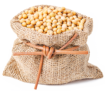 Bag of Non-GMO Soybeans