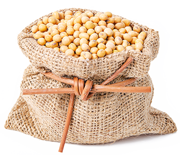 Bag of Non-GMO Soybeans